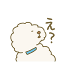 毛量が多いトイプードル（個別スタンプ：10）