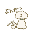 毛量が多いトイプードル（個別スタンプ：16）