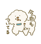 毛量が多いトイプードル（個別スタンプ：24）