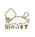 毛量が多いトイプードル（個別スタンプ：28）