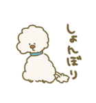 毛量が多いトイプードル（個別スタンプ：34）