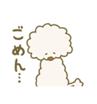 毛量が多いトイプードル（個別スタンプ：40）