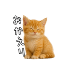 子猫マンチカンのオス（個別スタンプ：8）