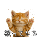 子猫マンチカンのオス（個別スタンプ：15）