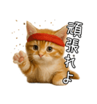 子猫マンチカンのオス（個別スタンプ：16）