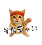 子猫マンチカンのオス（個別スタンプ：20）