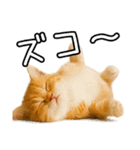 子猫マンチカンのオス（個別スタンプ：27）