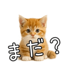 子猫マンチカンのオス（個別スタンプ：29）