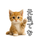 子猫マンチカンのオス（個別スタンプ：31）