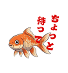 金魚(和風アニメ)（個別スタンプ：17）