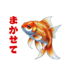 金魚(和風アニメ)（個別スタンプ：19）