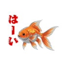 金魚(和風アニメ)（個別スタンプ：21）