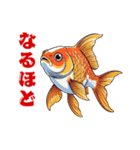 金魚(和風アニメ)（個別スタンプ：29）