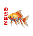 金魚(和風アニメ)（個別スタンプ：39）