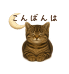 毎日使える♪キジトラ猫ぬいぐるみスタンプ（個別スタンプ：4）