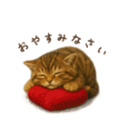 毎日使える♪キジトラ猫ぬいぐるみスタンプ（個別スタンプ：5）