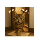 毎日使える♪キジトラ猫ぬいぐるみスタンプ（個別スタンプ：8）