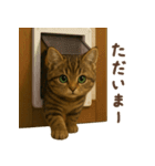 毎日使える♪キジトラ猫ぬいぐるみスタンプ（個別スタンプ：9）