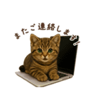 毎日使える♪キジトラ猫ぬいぐるみスタンプ（個別スタンプ：11）