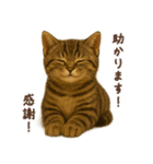 毎日使える♪キジトラ猫ぬいぐるみスタンプ（個別スタンプ：14）