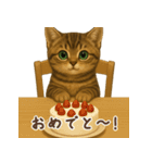 毎日使える♪キジトラ猫ぬいぐるみスタンプ（個別スタンプ：15）