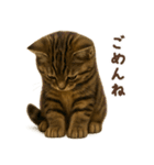 毎日使える♪キジトラ猫ぬいぐるみスタンプ（個別スタンプ：16）