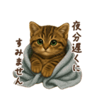 毎日使える♪キジトラ猫ぬいぐるみスタンプ（個別スタンプ：20）