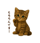 毎日使える♪キジトラ猫ぬいぐるみスタンプ（個別スタンプ：23）
