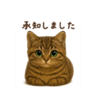 毎日使える♪キジトラ猫ぬいぐるみスタンプ（個別スタンプ：24）