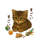 毎日使える♪キジトラ猫ぬいぐるみスタンプ（個別スタンプ：30）