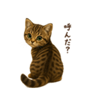 毎日使える♪キジトラ猫ぬいぐるみスタンプ（個別スタンプ：34）
