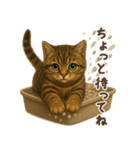 毎日使える♪キジトラ猫ぬいぐるみスタンプ（個別スタンプ：36）