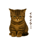 毎日使える♪キジトラ猫ぬいぐるみスタンプ（個別スタンプ：40）