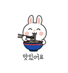 ウサギの日常スタンプ 08(KR)（個別スタンプ：17）