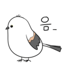 親切なシマエナガ(KOR)（個別スタンプ：6）