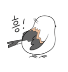 親切なシマエナガ(KOR)（個別スタンプ：15）
