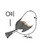 親切なシマエナガ(KOR)（個別スタンプ：24）