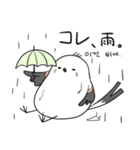 親切なシマエナガ(JP-KR)（個別スタンプ：13）