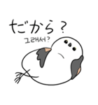 親切なシマエナガ(JP-KR)（個別スタンプ：19）