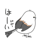 親切なシマエナガ(JP-KR)（個別スタンプ：24）