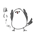 親切なシマエナガ(JP-KR)（個別スタンプ：25）