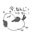親切なシマエナガ(JP-KR)（個別スタンプ：30）