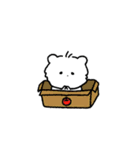 ちびふわモコ（個別スタンプ：17）