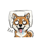 雑な目見開き柴犬（個別スタンプ：2）