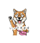雑な目見開き柴犬（個別スタンプ：5）