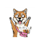 雑な目見開き柴犬（個別スタンプ：6）