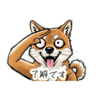 雑な目見開き柴犬（個別スタンプ：9）