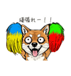 雑な目見開き柴犬（個別スタンプ：10）