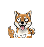 雑な目見開き柴犬（個別スタンプ：19）