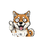 雑な目見開き柴犬（個別スタンプ：21）